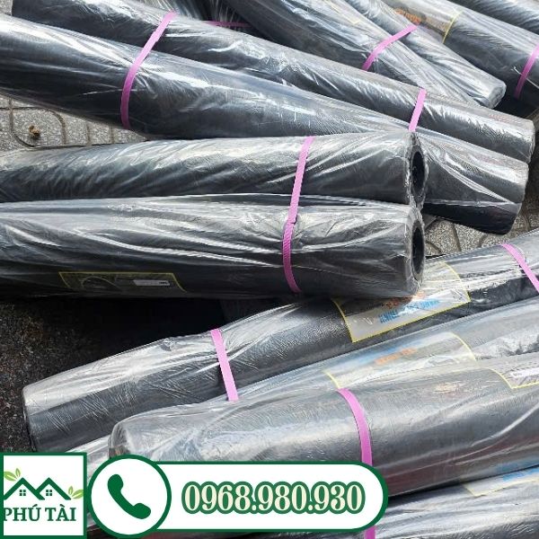 Cung cấp đa dạng các khổ nilon đen lót sàn