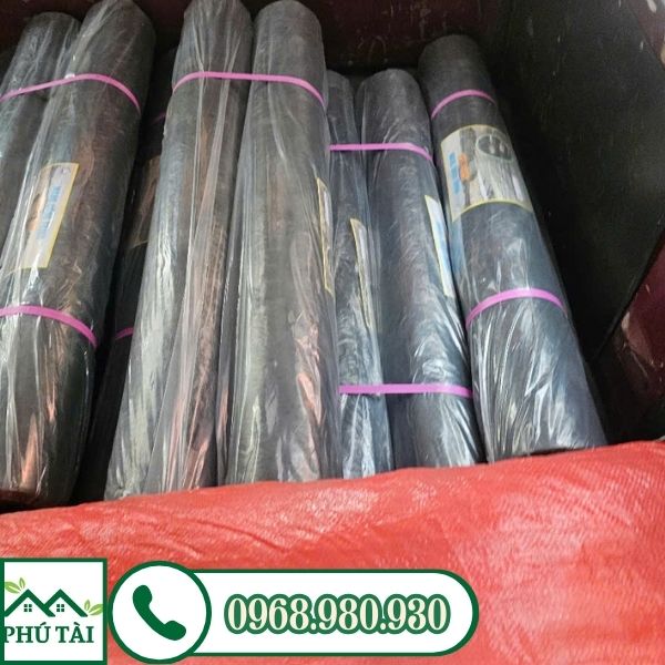 Phú Tài vận chuyển nilon giao khách hàng