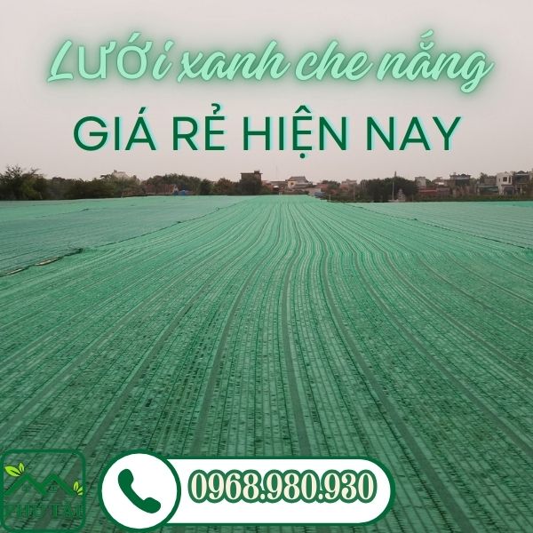 Lưới Xanh Che Nắng Giá Rẻ Hiện Nay