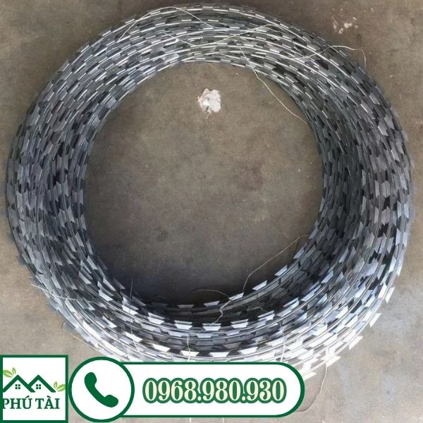 KẼM LAM - KẼM GAI LƯỠI LAM KẼM LAM - KẼM GAI LƯỠI LAM
