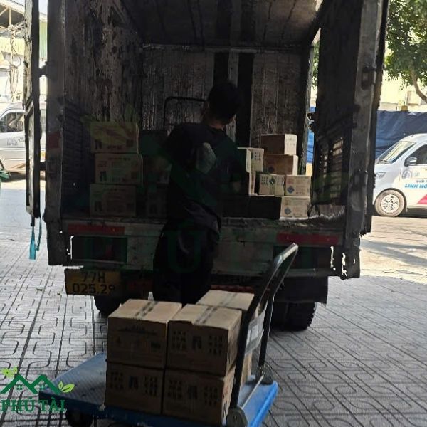 Cung cấp cục kê giá rẻ cho khách hàng
