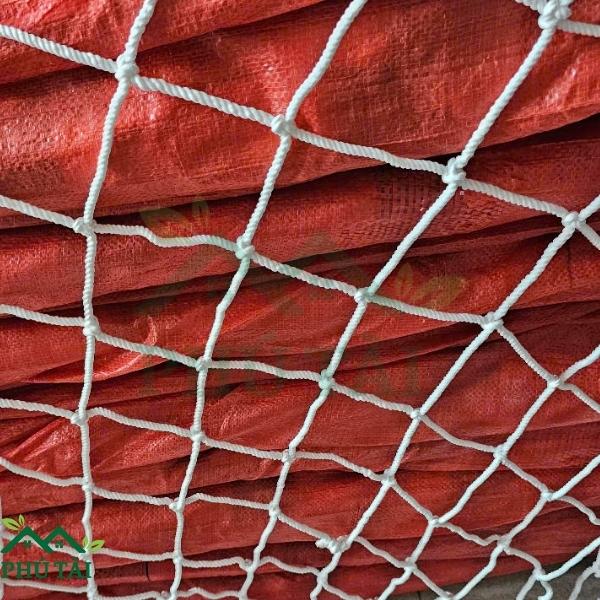 Ứng Dụng Lưới Chắn Container Trong Vận Chuyển Và Bảo Vệ Hàng Hóa Lưới chắn hàng hóa container