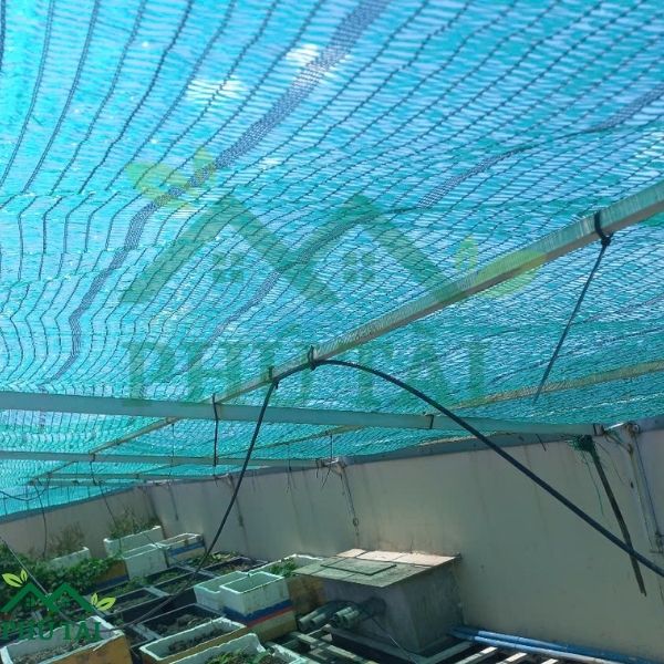 Lưới Đen Che Nắng Giá Bao Nhiêu? sử dụng lưới đen che nắng sân thượng