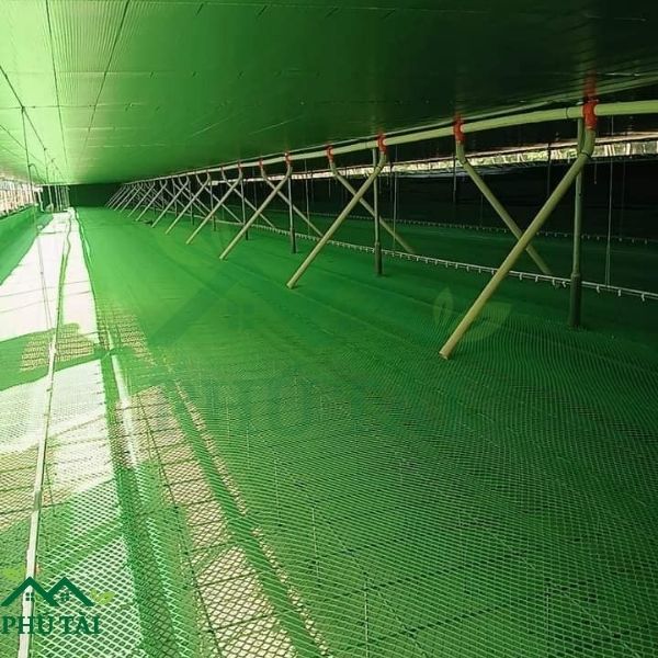 Top 3 Loại Lưới Nhựa Rào Gà Phổ Biến Hiện Nay Lưới nhựa mắt cáo làm chuồng nuôi gà