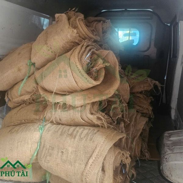 cung cấp bao bố giá rẻ tại Phú Tài