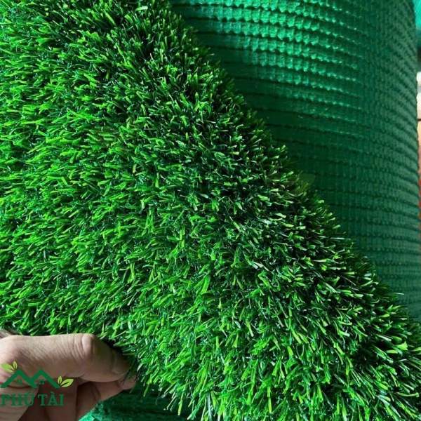 Cỏ Nhân Tạo Lót Sàn Quán Cà Phê - Phú Tài Cung cấp cỏ nhân tạo 2cm lót sàn quán cà phê