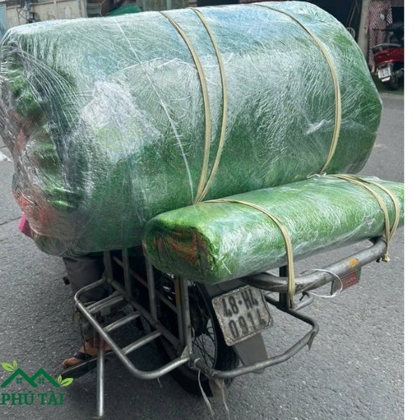 Mua cỏ nhân tạo online được giao tới tận nơi