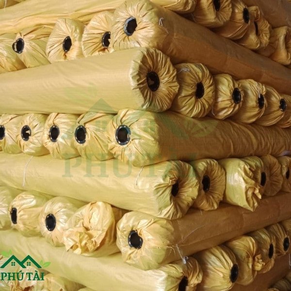 Giá Cỏ Nhân Tạo Bao Nhiêu 1m2 - Phú Tài Kho hàng cỏ nhân tạo các loại