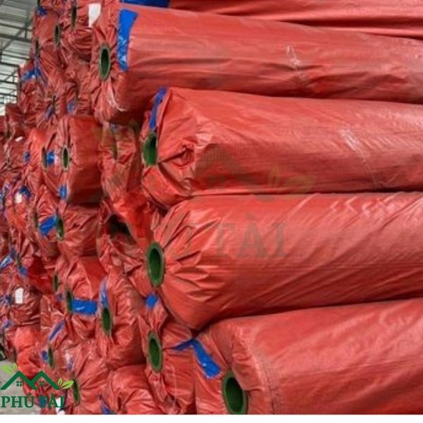 Kho hàng thảm cỏ nhân tạo giá rẻ tại Phú Tài
