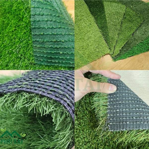 Các loại thảm cỏ được cung cấp bới Phú Tài