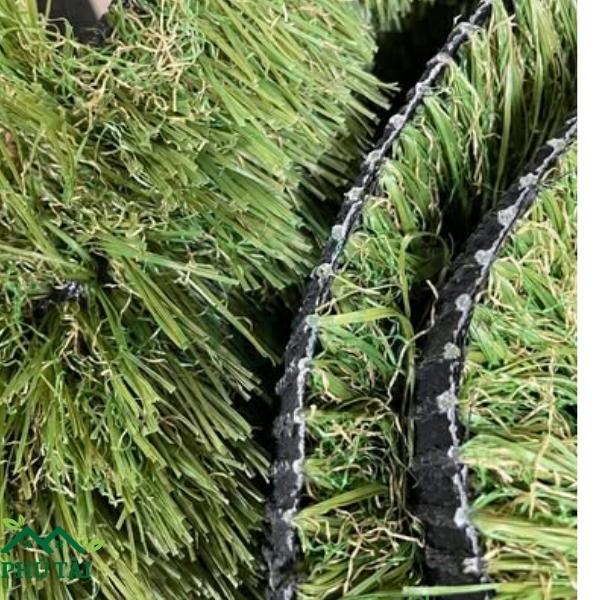 Thảm cỏ xanh có độ cao cỏ lớn nhất 4cm