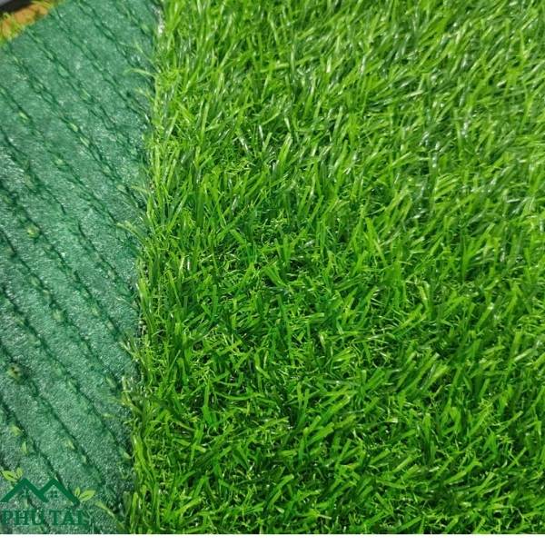 thảm cỏ cao 2,5cm đế xanh