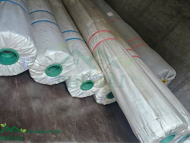 Cung cấp các khổ màng PE trên thị trường