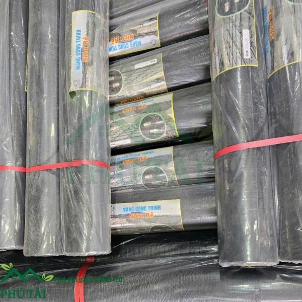 Cung cấp màng nilon lót đổ bê tông khổ 2m