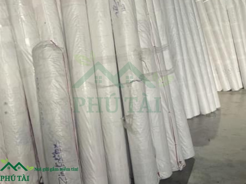 Màng PE được đóng gói cẩn thận trước khi xuất cho khách háng