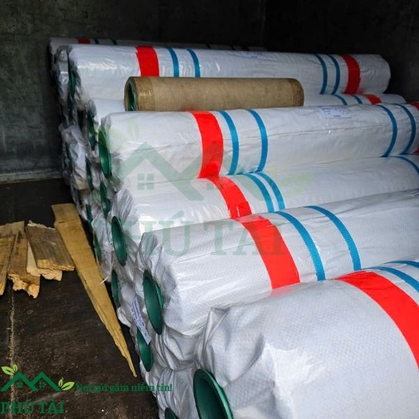 Màng pe đổ bê tông 2mx200m 30mic