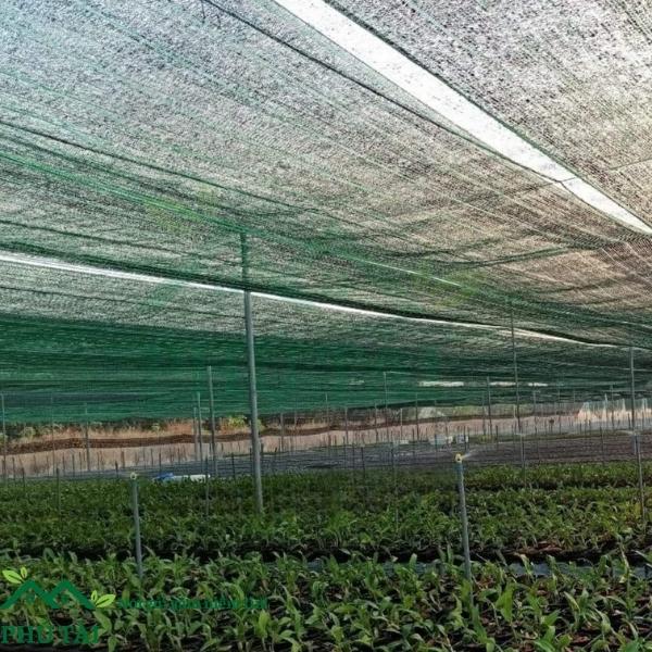 So Sánh Lưới Che Nắng 50%, 60%, 70%, 90% – Nên Chọn Loại Nào?