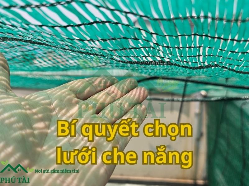 🌿 Bí Quyết Chọn Lưới Che Nắng Đúng Loại – Tiết Kiệm Chi Phí, Bền Lâu Và Hiệu Quả 🌿