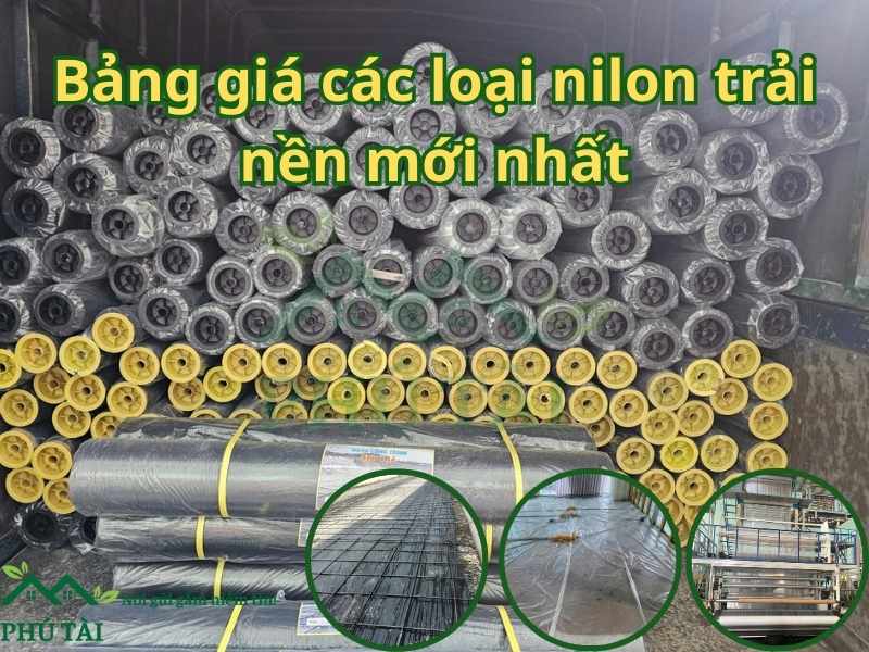 Bảng Giá Các Loại Nilon Trải Nền Mới Nhất – Nhận Đặt Hàng Sản Xuất