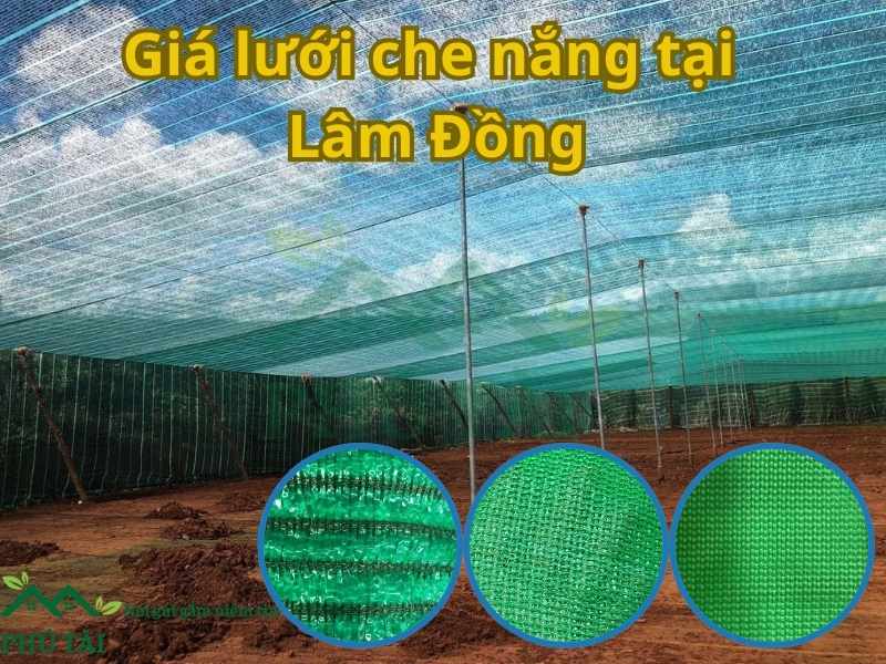 Giá Lưới Che Nắng Tại Lâm Đồng - Hỗ Trợ Gửi Chành Xe