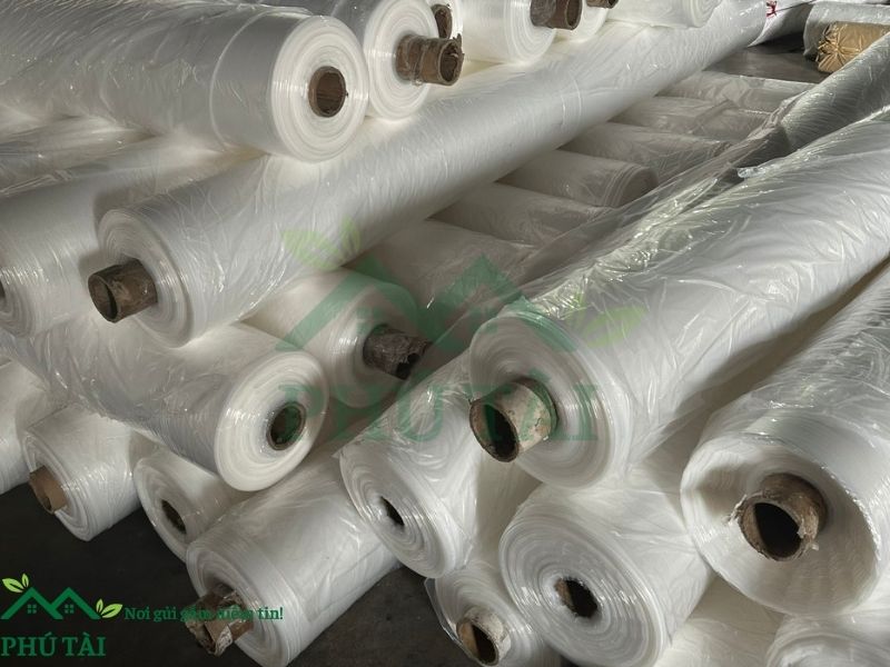 Màng nilon bảo dưỡng sẵn kho từ 14 - 30 microns