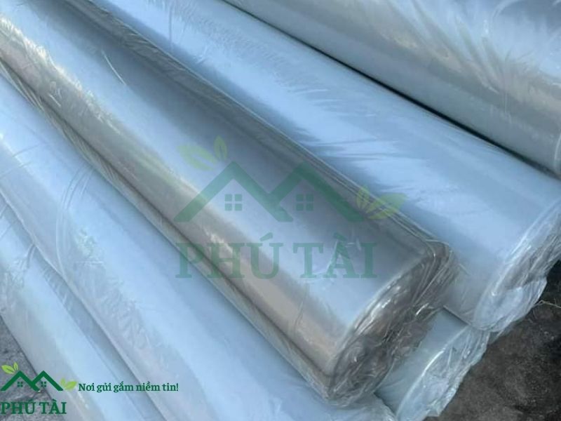 Màng nilon đa dạng kích thước và độ dầy tại Phú Tài