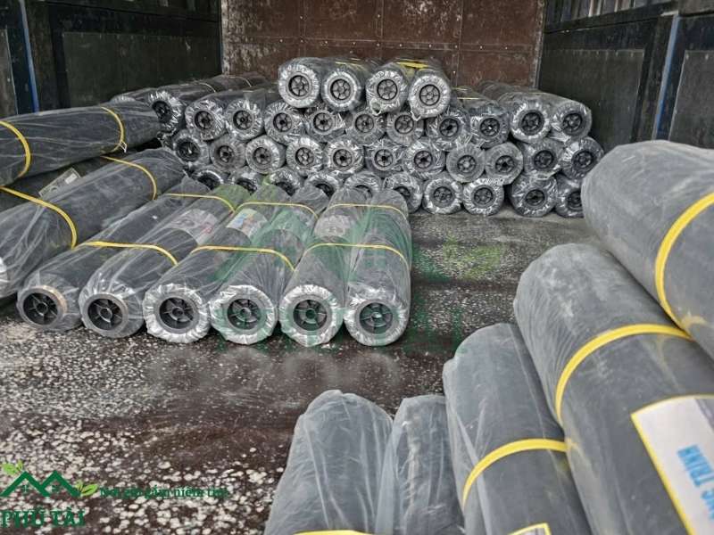 Sẵn kho các loại nilon trải nền từ độ dày đến kích thước khổ