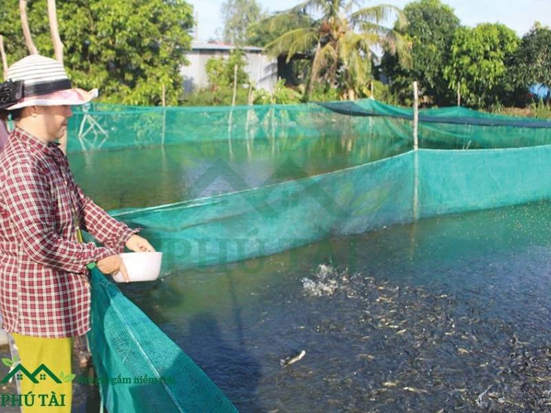 Sử dụng lưới cước ô vuông làm rào khu vực nuôi trồng hải sản