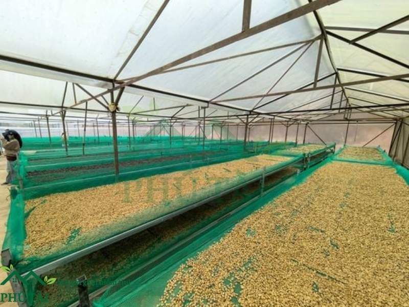 Sử dụng lưới cước ô vuông phơi nông sản, hải sản