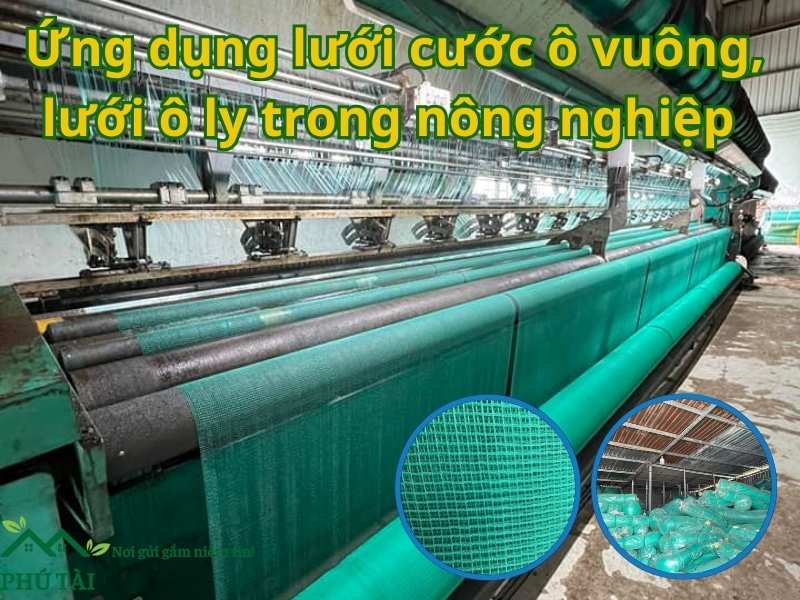 Ứng Dụng Lưới Cước Ô Vuông, Lưới Ô Ly Trong Nông Nghiệp