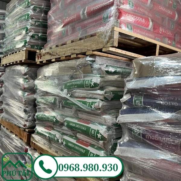 Kho keo dán gạch cá sấu