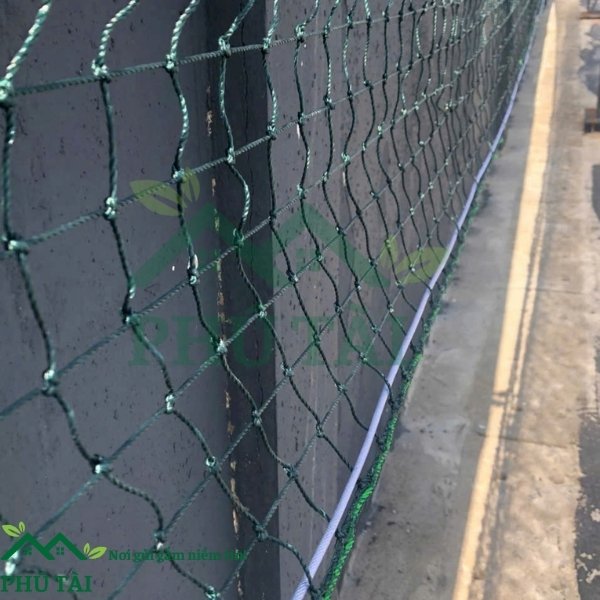 Lưới Che Sân Pickleball Cung cấp lưới pickleball tại Phú Tài