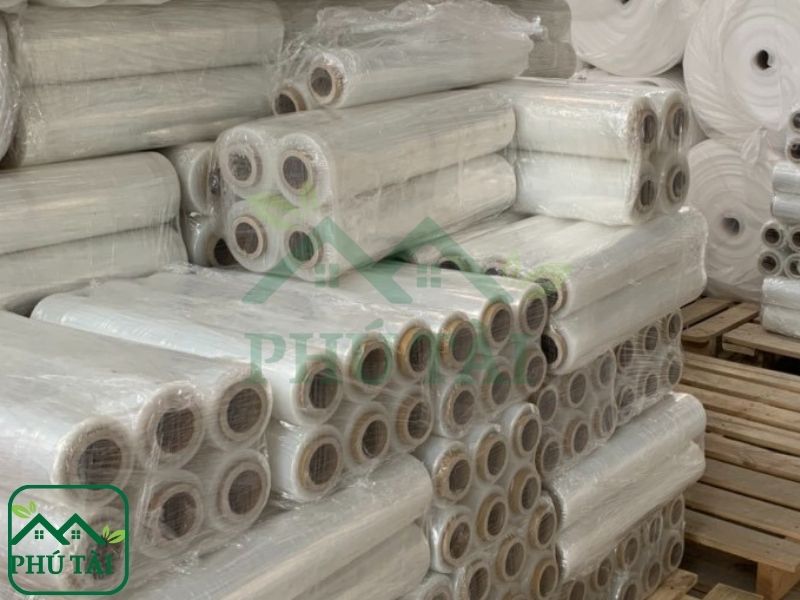 Phân Biệt Màng PE Đổ Bê Tông Và Màng PE Bọc Hàng | Nên Dùng Khi Nào? Màng PE bọc hàng