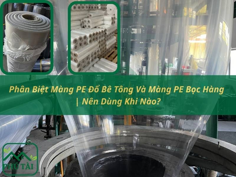Phân Biệt Màng PE Đổ Bê Tông Và Màng PE Bọc Hàng | Nên Dùng Khi Nào?