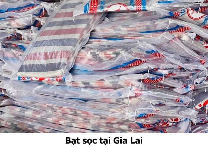 Bạt sọc tại Gia Lai