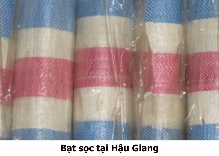 Bạt sọc tại Hậu Giang Bạt sọc tại Hậu Giang