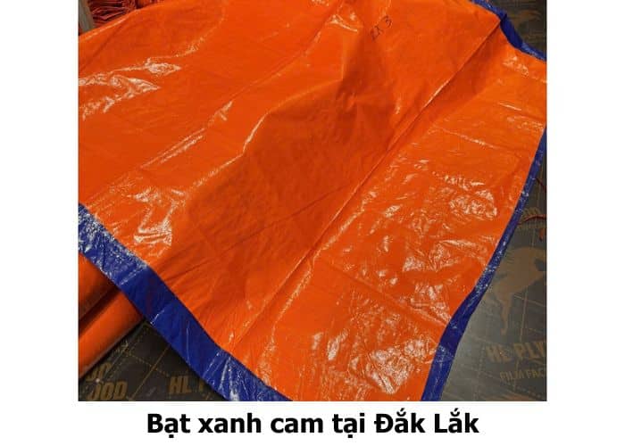 Bạt xanh cam tại Đắk Lắk