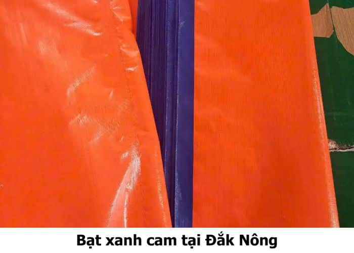 Bạt xanh cam tại Đắk Nông