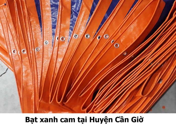 Bạt xanh cam tại Huyện Cần Giờ