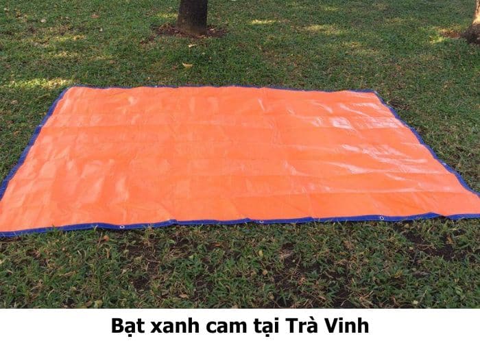 Bạt xanh cam tại Trà Vinh