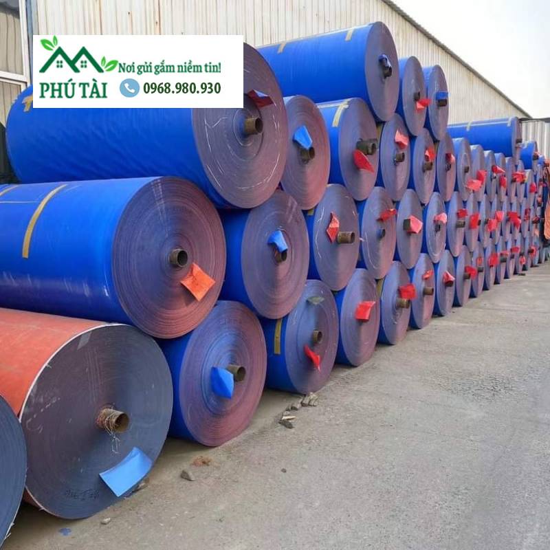 Bạt xanh cam tại Đồng Tháp Bạt xanh cam