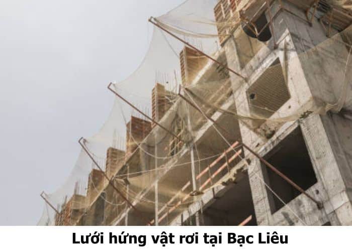 Lưới hứng vật rơi tại Bạc Liêu