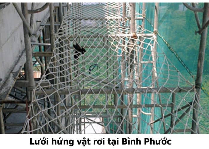 Lưới hứng vật rơi tại Bình Phước