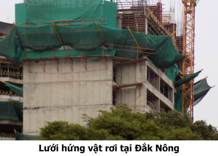 Lưới hứng vật rơi tại Đắk Nông
