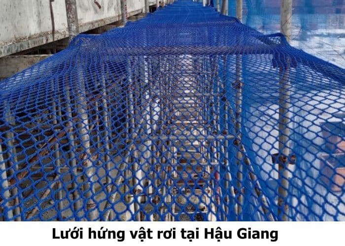 Lưới hứng vật rơi tại Hậu Giang