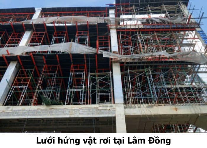 Lưới hứng vật rơi tại Lâm Đồng