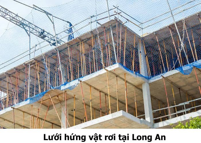 Lưới hứng vật rơi tại Long An