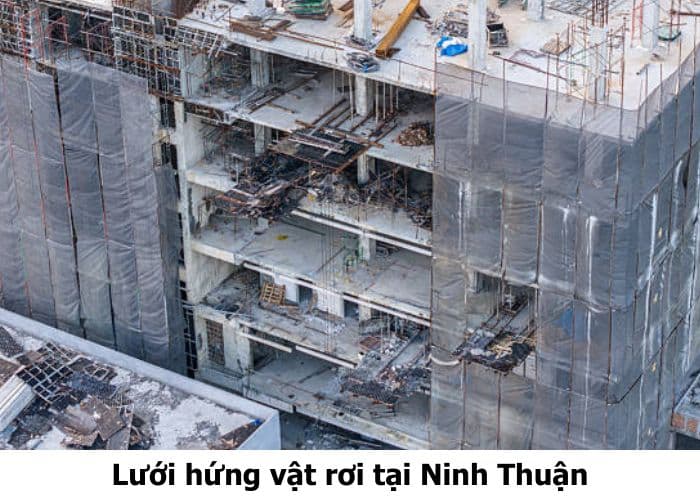 Lưới hứng vật rơi tại Ninh Thuận