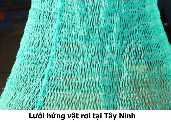 Lưới hứng vật rơi tại Tây Ninh