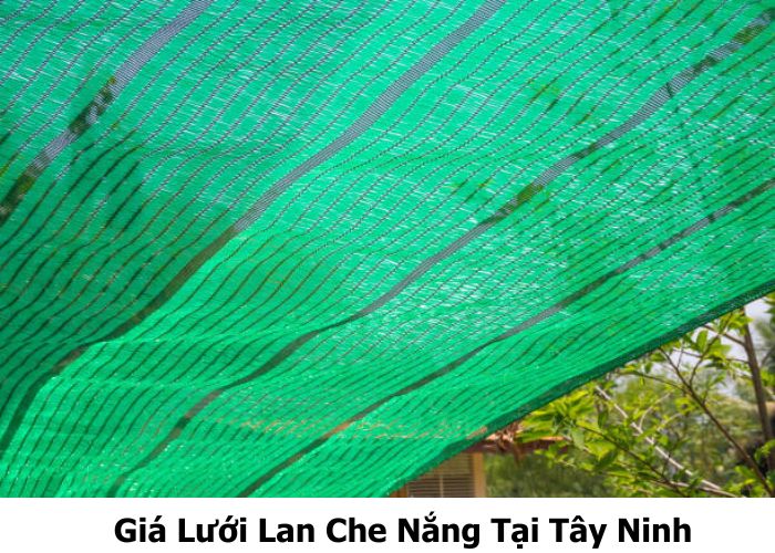 Giá Lưới Lan Che Nắng Tại Tây Ninh ( Cập Nhật Mới Nhất 2026)